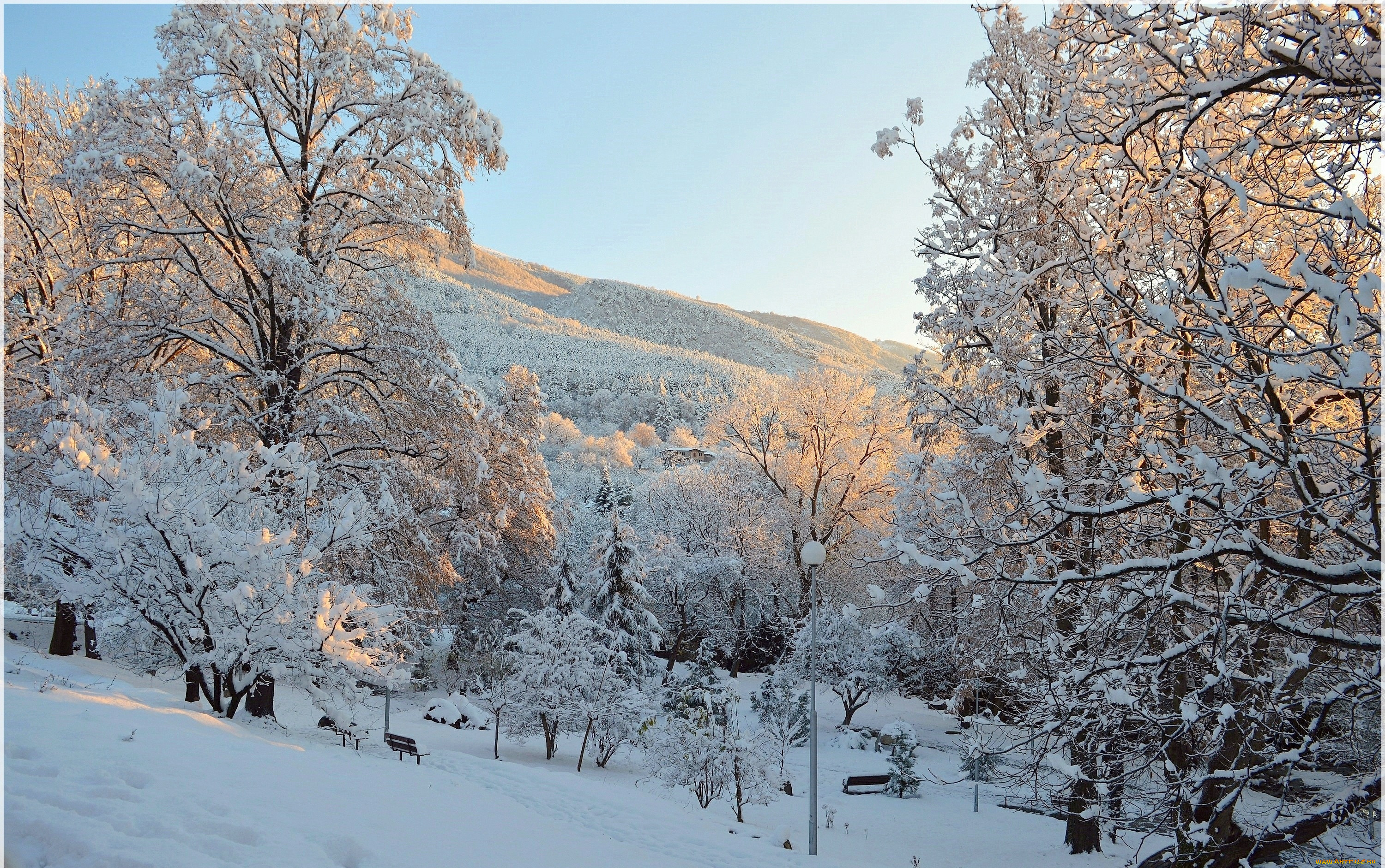, , , , , , winter, frost, park, snow, trees